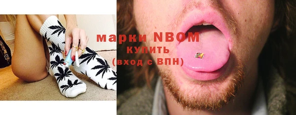 твердый Абаза
