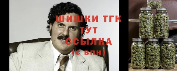 твердый Абаза