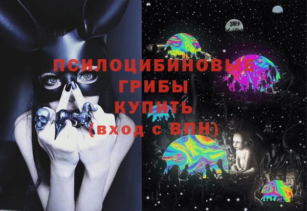 твердый Абаза